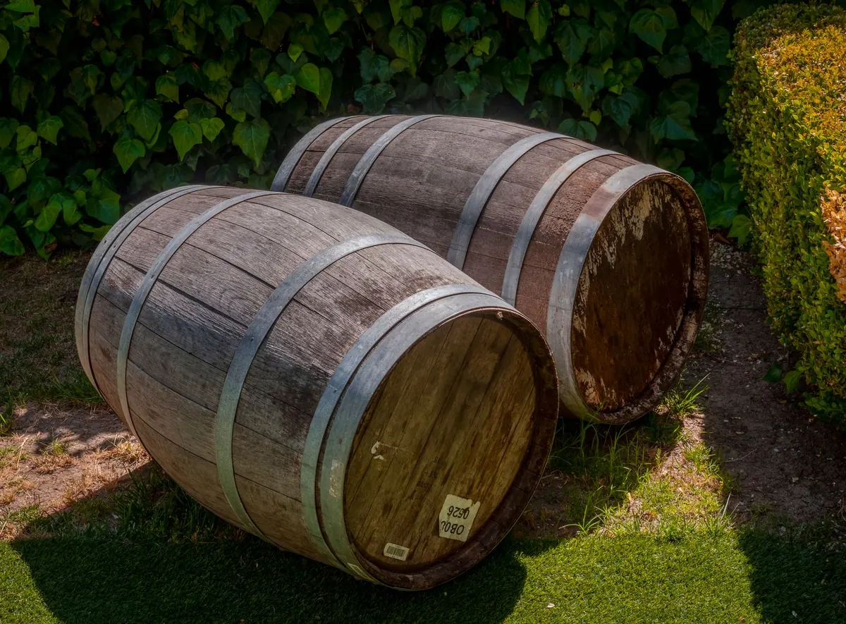 Beginner's Guide to Installing a Rain Barrel at Your Cottage (and Using It in the Garden)