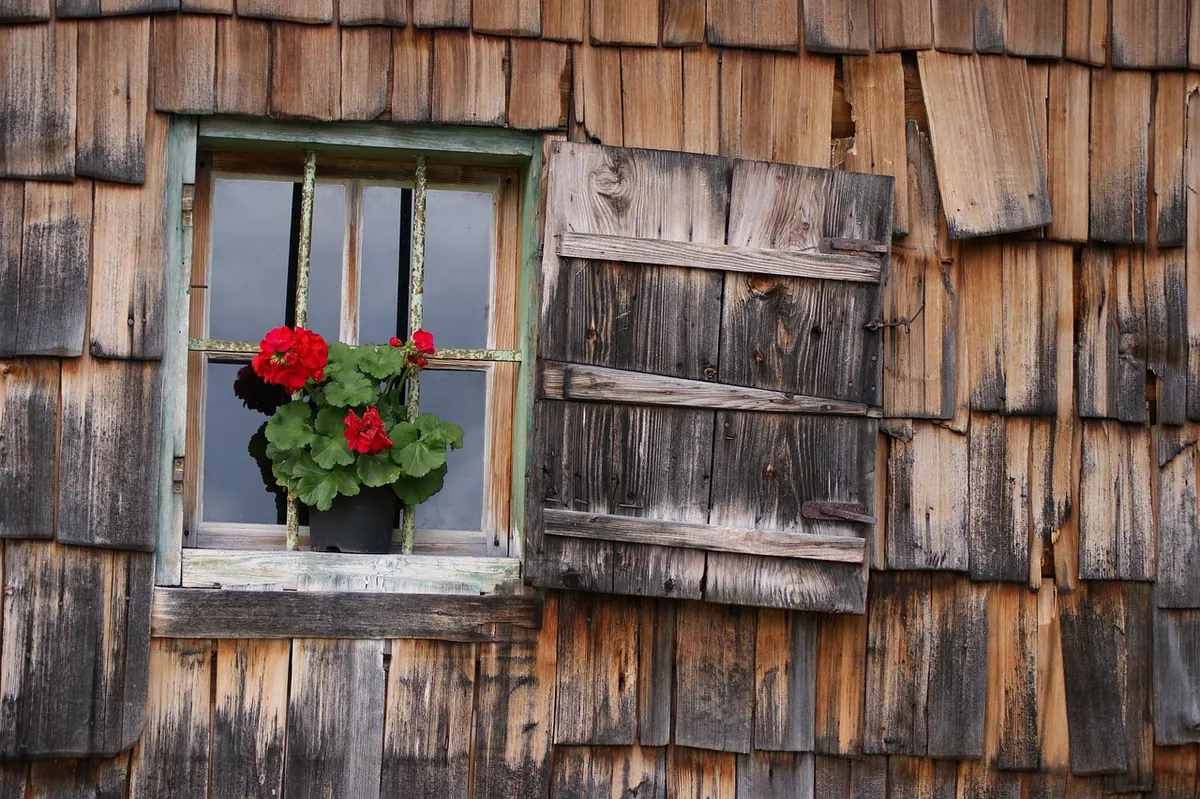 Cottage vs. Cabin vs. Bungalow: What's the Difference and Which Fits Your Lifestyle?